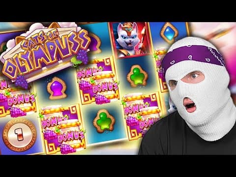 LET&#39;S TRY THE NEW CATS OF OLYMPUS!